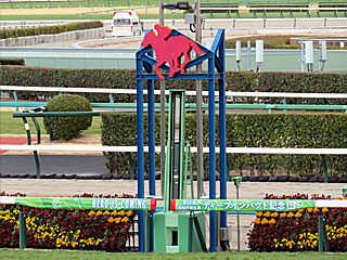 ゴール板@中山競馬場