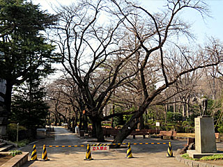 日本庭園＠東京競馬場