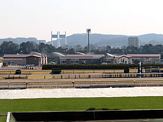 国際厩舎工事＠東京競馬場