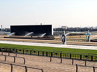 東京競馬場