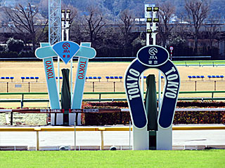 東京競馬場