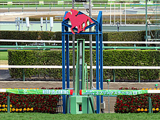 ゴール板@中山競馬場