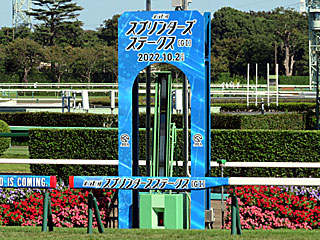 中山競馬場（2022年スプリンターズステークス）