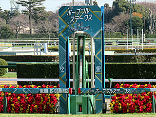 中山競馬場（2022年ホープフルステークス）