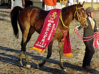 ウシュバテソーロ（東京大賞典）