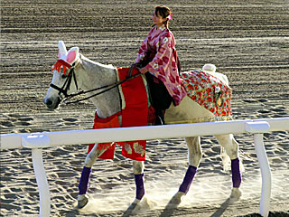 川崎競馬場コスプレ誘導馬