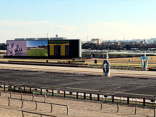 東京競馬場