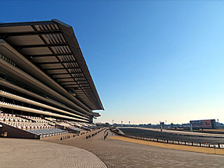 東京競馬場