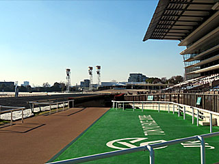 東京競馬場