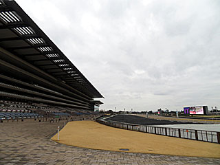 東京競馬場