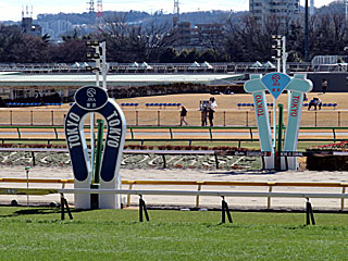 東京競馬場