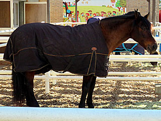 バルロヴェント