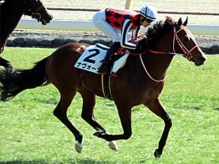 ナヴォーナ(3歳新馬)