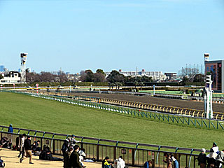 東京競馬場