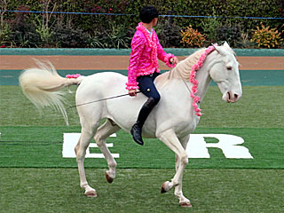 ファンタジックホースショー