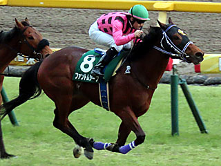 ファントムシーフ(共同通信杯)