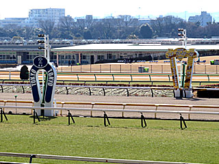 東京競馬場