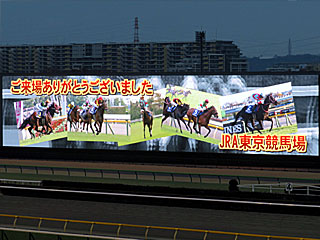 東京競馬場