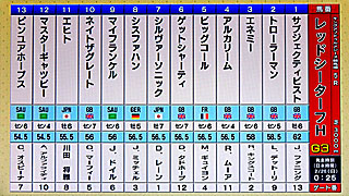 レッドシーターフハンデ