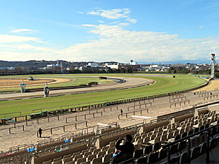 東京競馬場