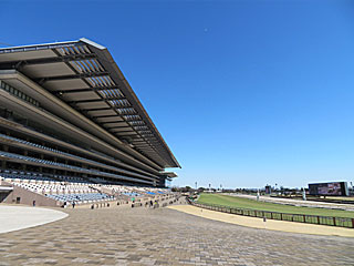 東京競馬場