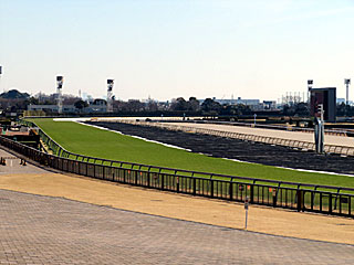 東京競馬場