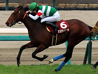 タスティエーラ(弥生賞ディープインパクト記念)