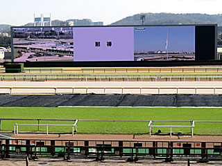 東日本大震災から12年＠東京競馬場