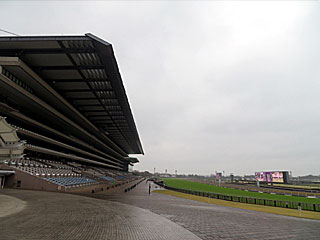 東京競馬場