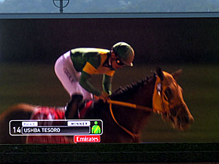 ウシュバテソーロ(ドバイワールドカップ)