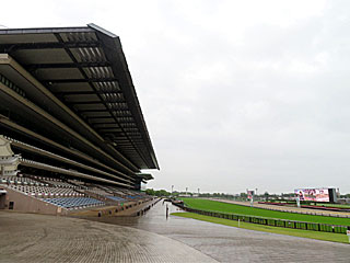 東京競馬場