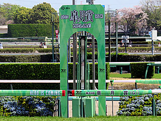 中山競馬場（2024年皐月賞）