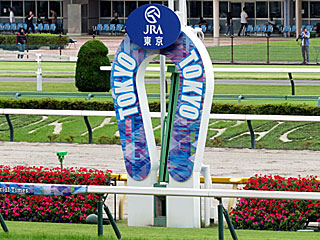 2025年第3回東京競馬