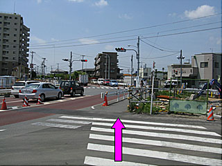 是政駅から東京競馬場へ