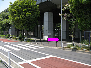 是政駅から東京競馬場へ