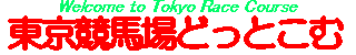 東京競馬場どっとこむ