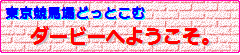 東京競馬場どっとこむ