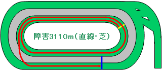 東京競馬場障害芝3110m