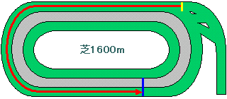 東京競馬場芝1600m