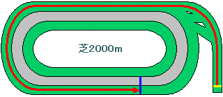 東京競馬場芝2000m