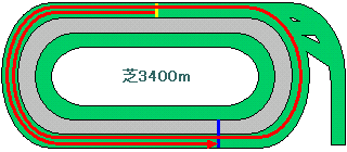 東京競馬場芝3400m