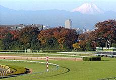 富士山と1コーナー